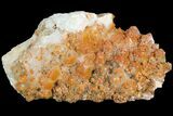 Orange Quartz Crystal Cluster - Diamond Hill, SC #81314-1